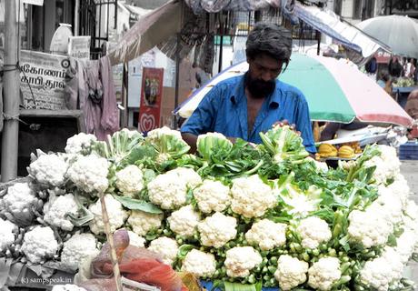 கொண்டையில் தாழம்பூ .. .. ...... சுவையான பூ யாது ?? கொண்டையில் தாழம்பூ .. .. ...... சுவையான பூ யாது ??