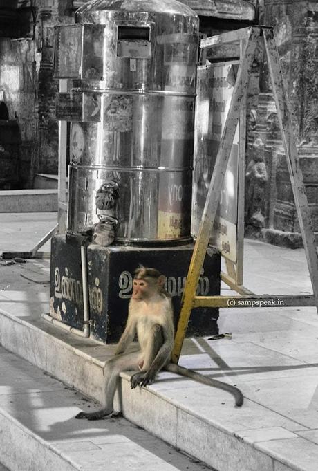 Morning activity  !!  sitting summa !!