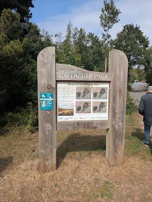 Around the Alliance 31