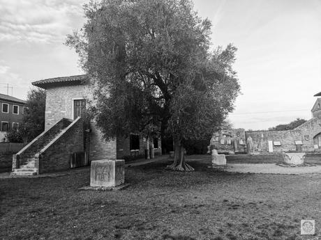 Let's travel together #294 - Museo Provinciale di Torcello Photo_1707303809191.jpg