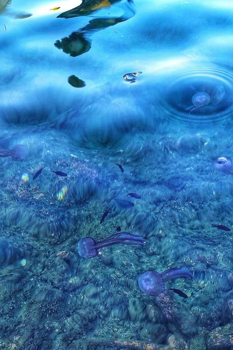 Portofino, a Gem of the Italian Riviera Portofino, a Gem of the Italian Riviera