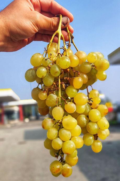 Portofino, a Gem of the Italian Riviera Portofino, a Gem of the Italian Riviera