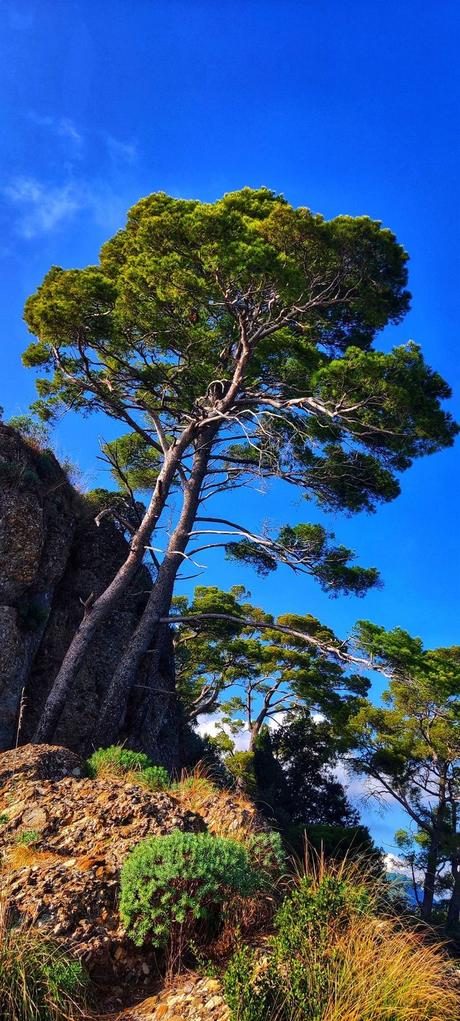 Portofino, a Gem of the Italian Riviera Portofino, a Gem of the Italian Riviera