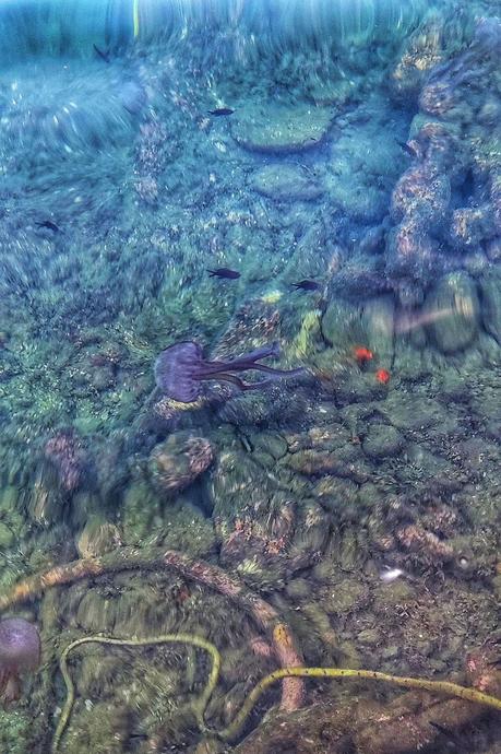 Portofino, a Gem of the Italian Riviera Portofino, a Gem of the Italian Riviera