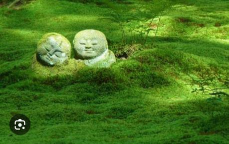 A textile lover’s dream: exploring Japan with Kyoto Kimono Photo from one of the Textile Tours of Japan with Nancy McDonough of Kyoto Kimono