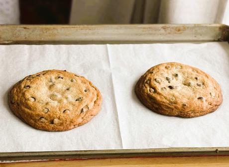 Two Big Chocolate Chip Cookies