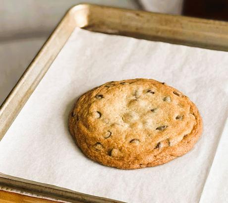 Two Big Chocolate Chip Cookies