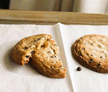 Two Big Chocolate Chip Cookies