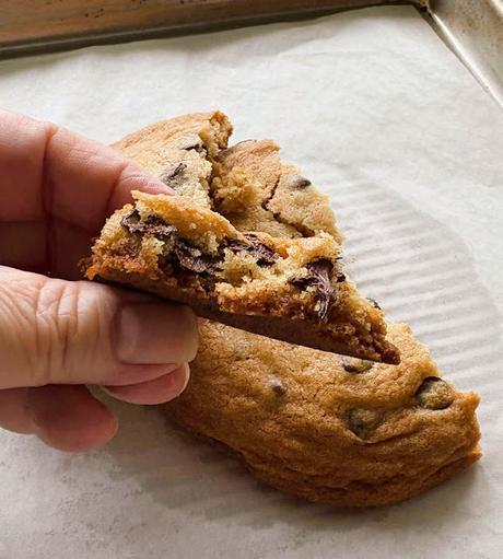 Two Big Chocolate Chip Cookies