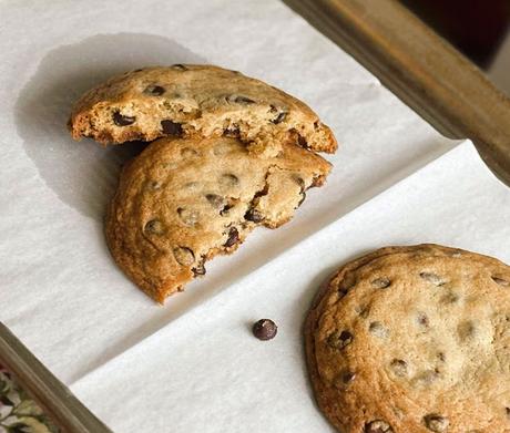 Two Big Chocolate Chip Cookies