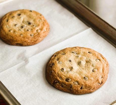 Two Big Chocolate Chip Cookies