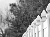 Making Your Garden Safer Place Whole Family