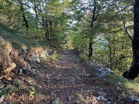 Narrow dirt path edged with rocks and trees on Mount Tujanit. A typical section of the hiking route offering shade and forest views on the way up.