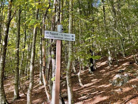 Wooden trail signpost in the forest indicating directions to Mount Tujanit and Qafa e Qershisë. Helpful wayfinding for hikers exploring the trails near Tirana.