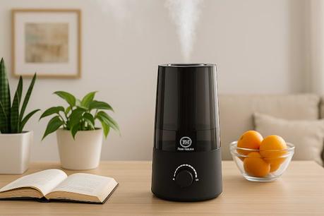 Use of humidifiers at home Use of humidifiers at home