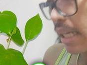 GOODBYE PLANTITO LIFESTYLE! Saying Farewell Indoor Jungle