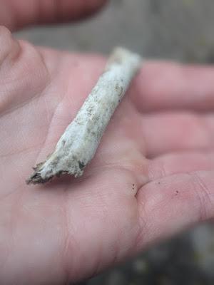 Twenty Questions (E2): Peeves