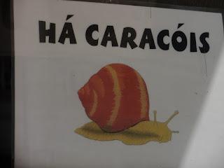 Twenty Questions (E1): Weird Food