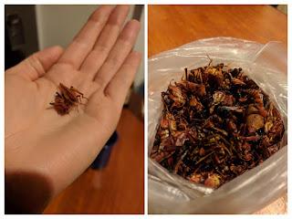 Twenty Questions (E1): Weird Food