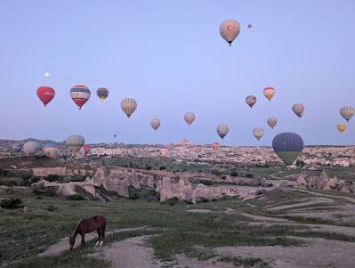 What I Learned & Looking Back & Looking Forward: May 2025