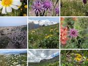 What Learned Looking Back Forward: 2025