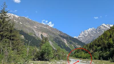 What I Learned & Looking Back & Looking Forward: May 2025