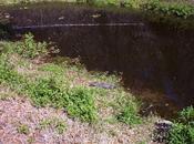 Never Have I....Wait, Actually Have!