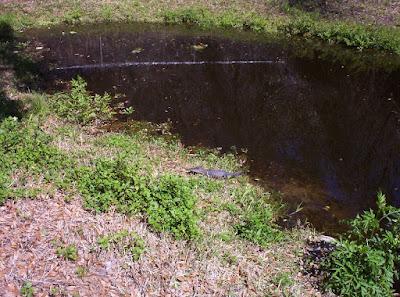 Never Have I....Wait, Actually I Have! (2)