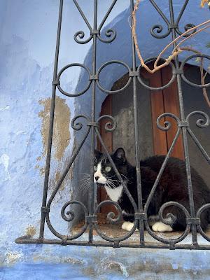 THE BEAUTIFUL BLUE CITY OF MOROCCO, CHEFCHAOUEN: Guest Post by Lucas Gutierrez-Arnold