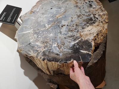 DINOSAURS, ROCKS, MINERALS AND MORE: Hands-On Science at the Pacific Museum of Earth at UBC, Vancouver, Canada