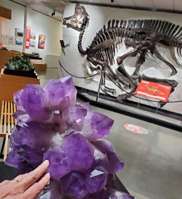 DINOSAURS, ROCKS, MINERALS AND MORE: Hands-On Science at the Pacific Museum of Earth at UBC, Vancouver, Canada