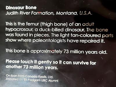 DINOSAURS, ROCKS, MINERALS AND MORE: Hands-On Science at the Pacific Museum of Earth at UBC, Vancouver, Canada
