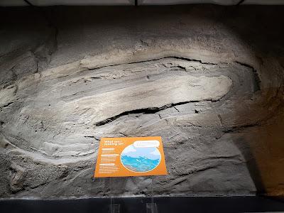 DINOSAURS, ROCKS, MINERALS AND MORE: Hands-On Science at the Pacific Museum of Earth at UBC, Vancouver, Canada