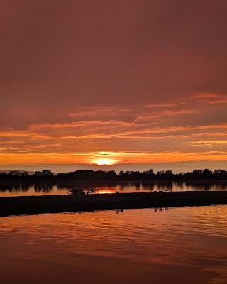 CRUISING THE RHINE, Part 2: Castles, Churches, Cuckoo Clocks and More, Guest Post by Monique McLay Shore