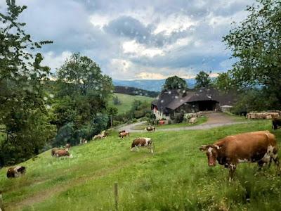 CRUISING THE RHINE, Part 2: Castles, Churches, Cuckoo Clocks and More, Guest Post by Monique McLay Shore