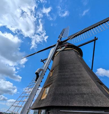 CRUISING THE RHINE, Part 1: Castles, Churches, Cuckoo Clocks and More, Guest Post by Monique McLay Shore