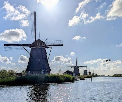 CRUISING THE RHINE, Part 1: Castles, Churches, Cuckoo Clocks and More, Guest Post by Monique McLay Shore