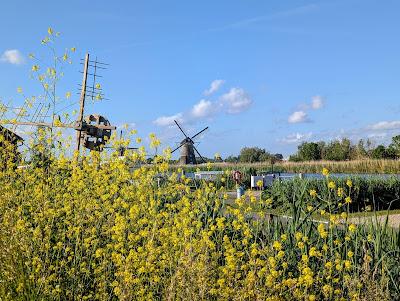 CRUISING THE RHINE, Part 1: Castles, Churches, Cuckoo Clocks and More, Guest Post by Monique McLay Shore