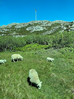 SCOTLAND GEOLOGY; The Northwest Highlands, Guest  Post by Paige Arnold