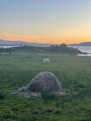 SCOTLAND GEOLOGY; The Northwest Highlands, Guest  Post by Paige Arnold