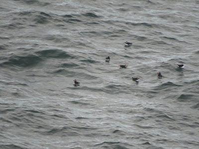 SCOTLAND GEOLOGY; The Northwest Highlands, Guest  Post by Paige Arnold