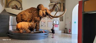 ROAD TRIP TO THE ITALIAN ALPS: Bergamo, Valle Camonica, Lake Iseo