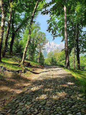 ROAD TRIP TO THE ITALIAN ALPS: Bergamo, Valle Camonica, Lake Iseo