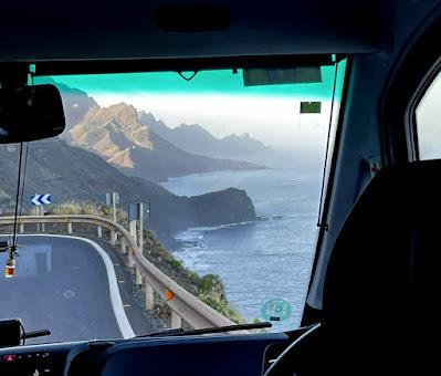 CANARY ISLANDS NATURE TOUR, Part 3: Guest Post by Susan Kean