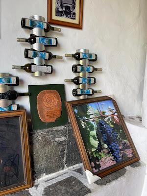 CANARY ISLANDS NATURE TOUR, Part 2: Guest Post by Susan Kean