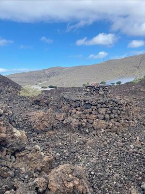 CANARY ISLANDS NATURE TOUR, Part 2: Guest Post by Susan Kean