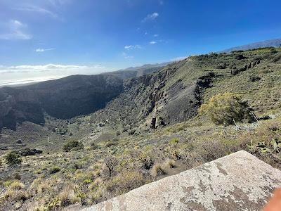 CANARY ISLANDS NATURE TOUR, Part 2: Guest Post by Susan Kean
