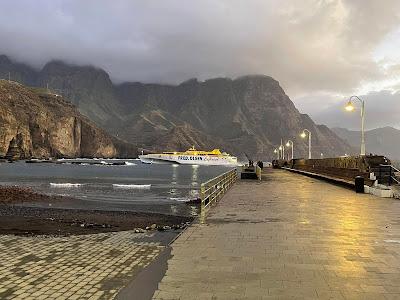 CANARY ISLANDS NATURE TOUR, Part 2: Guest Post by Susan Kean