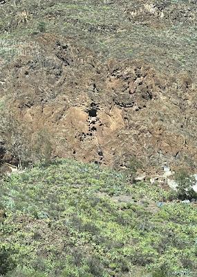 CANARY ISLANDS NATURE TOUR, Part 2: Guest Post by Susan Kean