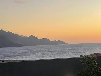 CANARY ISLANDS NATURE TOUR, Part 1: Guest Post by Susan Kean